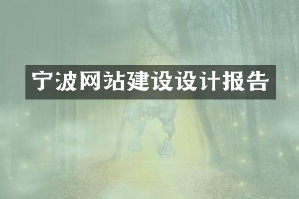 宁波网站建设设计报告