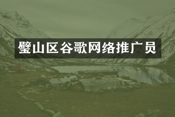 璧山区谷歌网络推广员