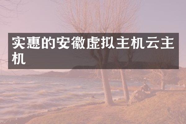 实惠的安徽虚拟主机云主机