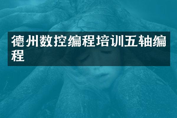 德州数控编程培训五轴编程