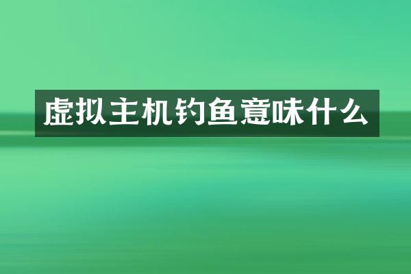 虚拟主机钓鱼意味什么