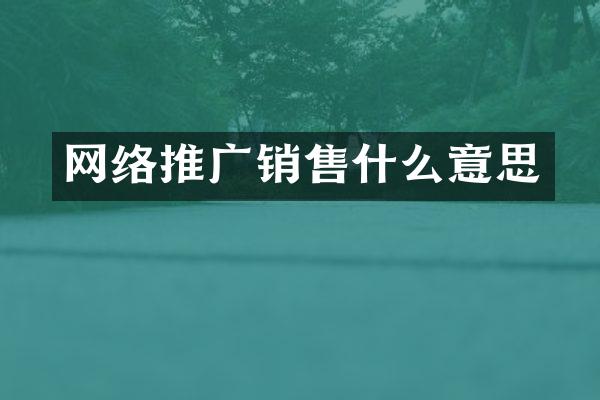 网络推广销售什么意思