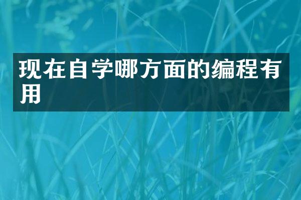 现在自学哪方面的编程有用