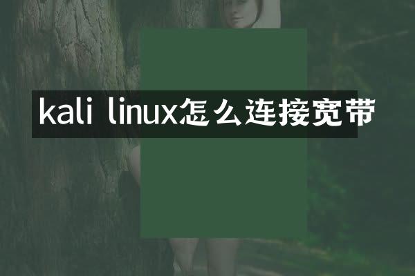 kali linux怎么连接宽带