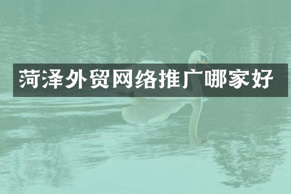 菏泽外贸网络推广哪家好
