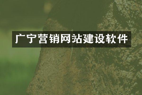 广宁营销网站建设软件
