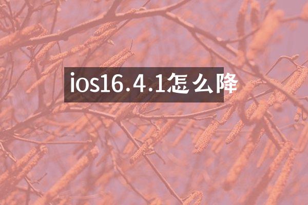 ios16.4.1怎么降