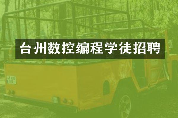 台州数控编程学徒招聘