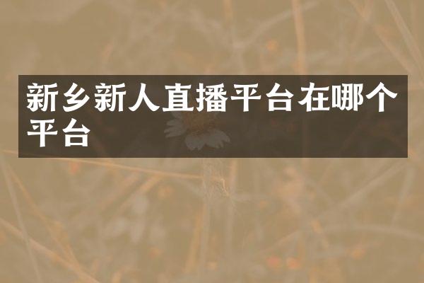 新乡新人直播平台在哪个平台