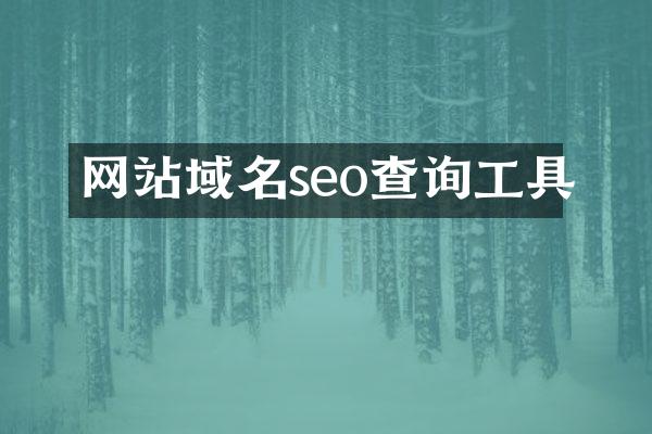 网站域名seo查询工具