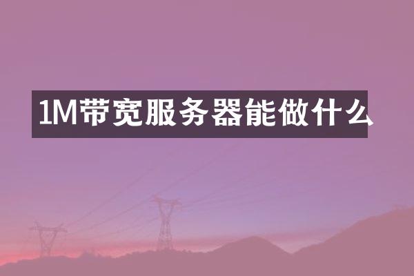 1M带宽服务器能做什么