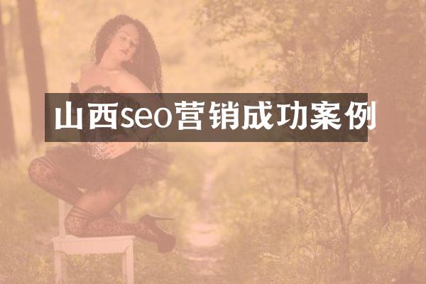山西seo营销成功案例
