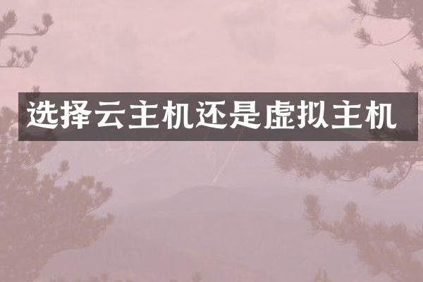 选择云主机还是虚拟主机