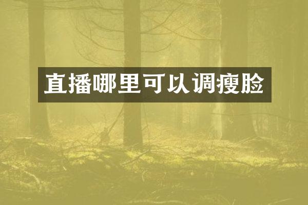 直播哪里可以调瘦脸