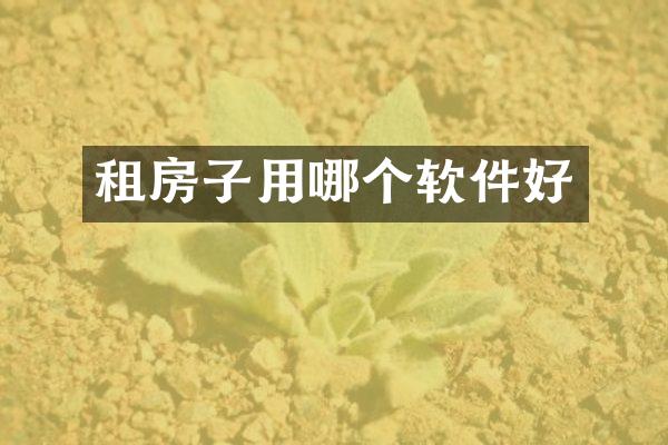 租房子用哪个软件好