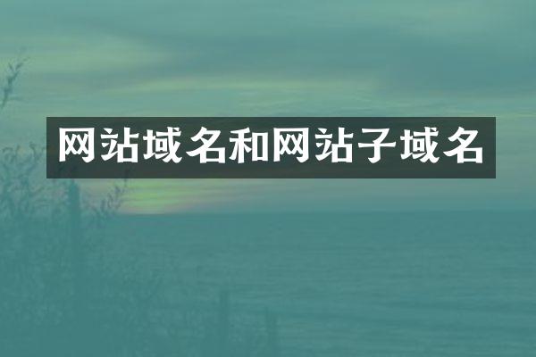 网站域名和网站子域名