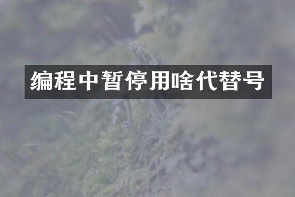 编程中暂停用啥代替号