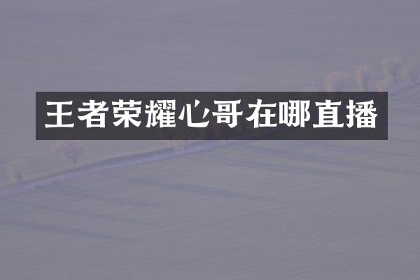 王者荣耀心哥在哪直播