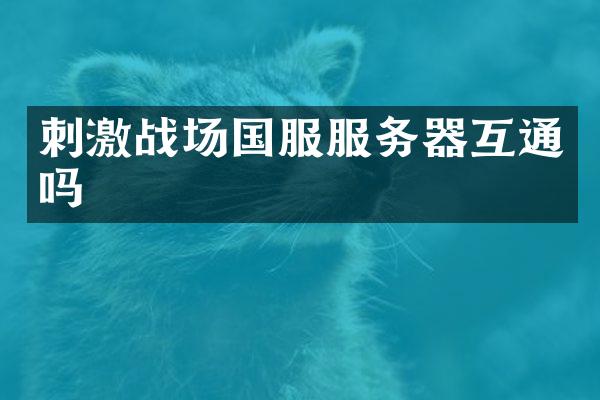 刺激战场国服服务器互通吗