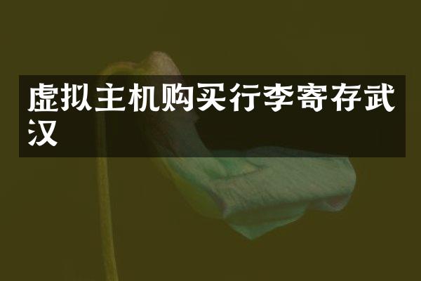 虚拟主机购买行李寄存武汉