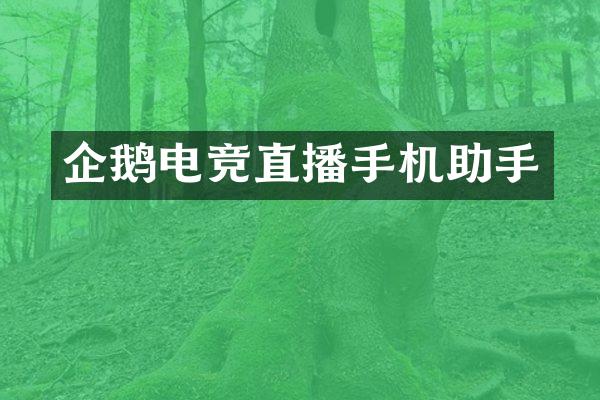 企鹅电竞直播手机助手