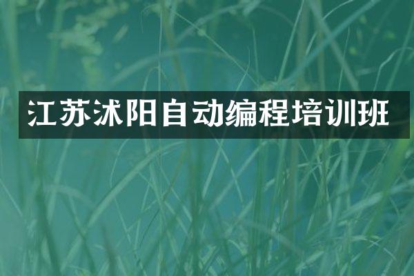 江苏沭阳自动编程培训班