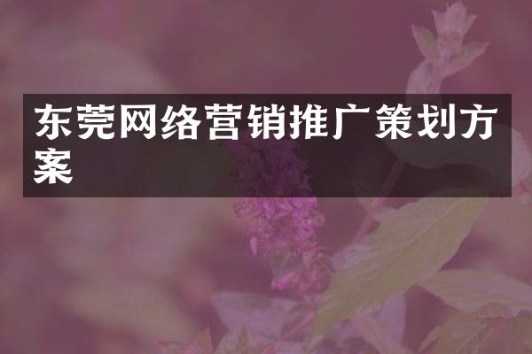 东莞网络营销推广策划方案