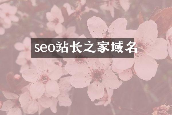 seo站长之家域名