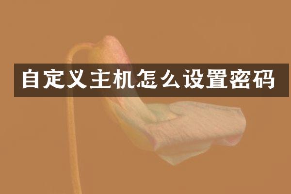 自定义主机怎么设置密码