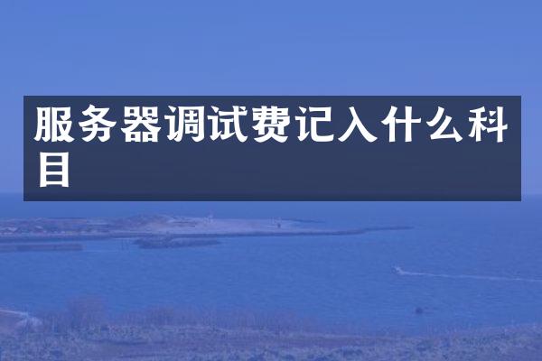 服务器调试费记入什么科目
