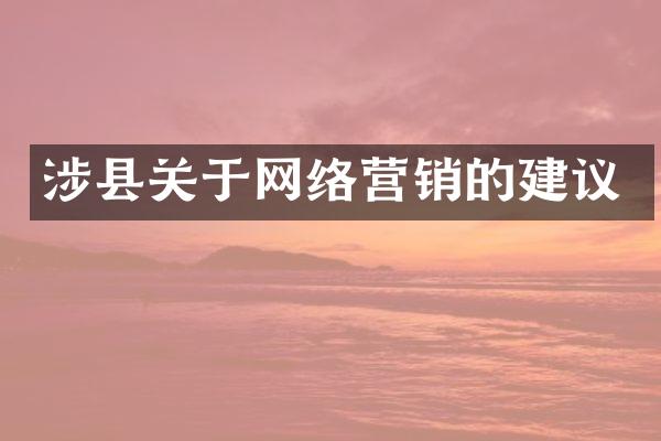 涉县关于网络营销的建议