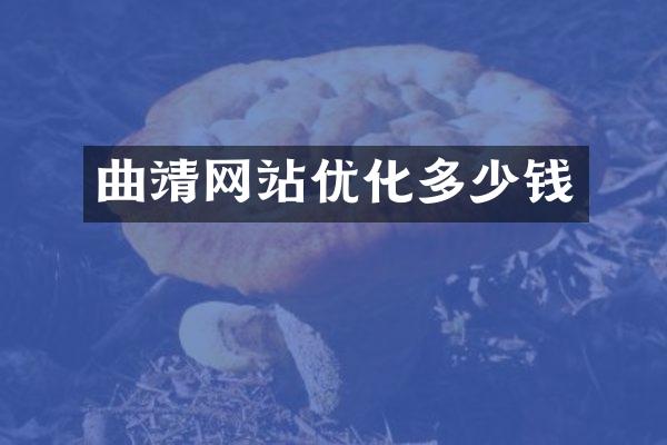 曲靖网站优化多少钱