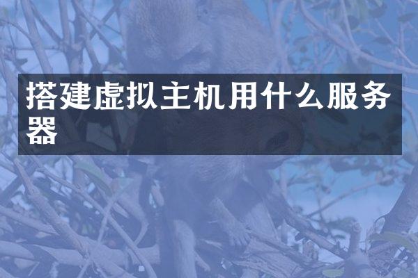 搭建虚拟主机用什么服务器