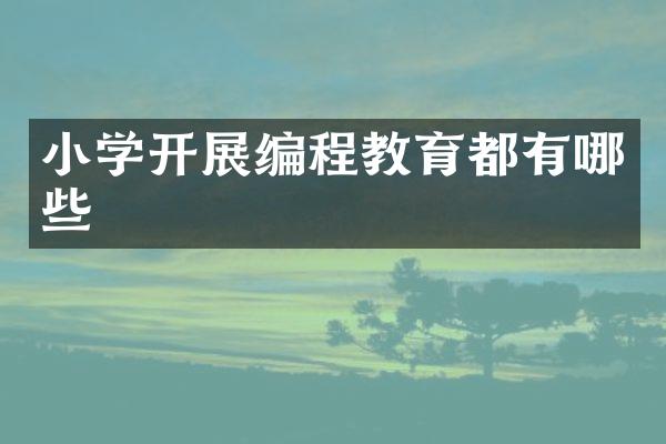 小学开展编程教育都有哪些