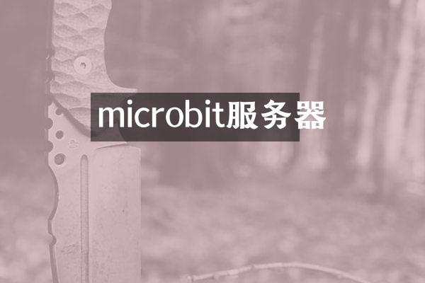 microbit服务器
