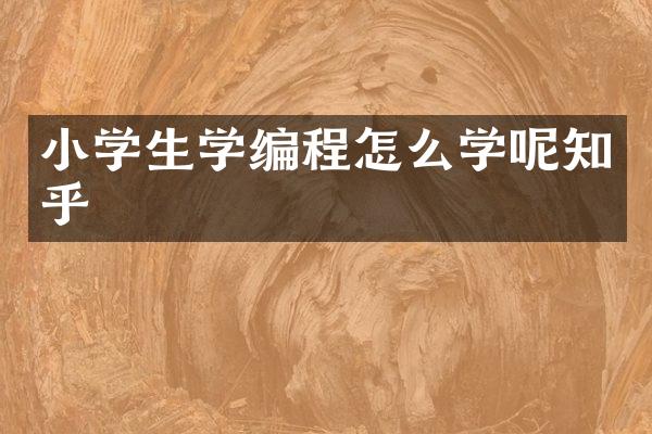 小学生学编程怎么学呢知乎