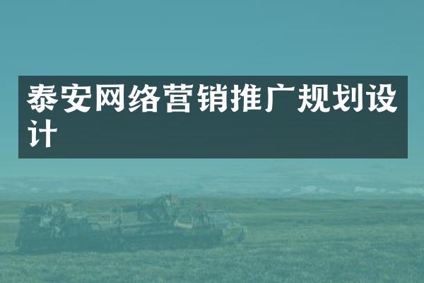 泰安网络营销推广规划设计