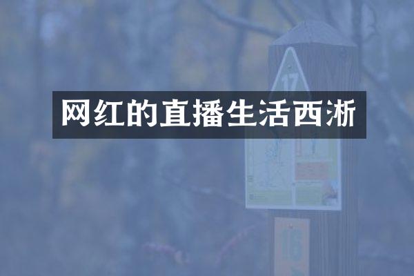 网红的直播生活西淅