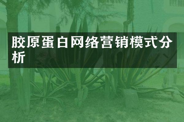 胶原蛋白网络营销模式分析