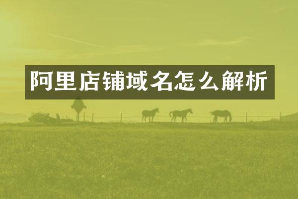 阿里店铺域名怎么解析