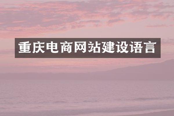 重庆电商网站建设语言