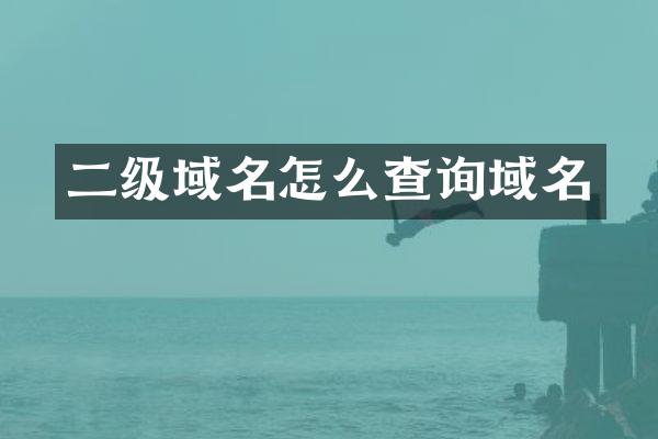 二级域名怎么查询域名