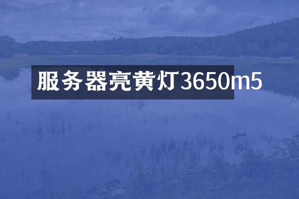 服务器亮黄灯3650m5