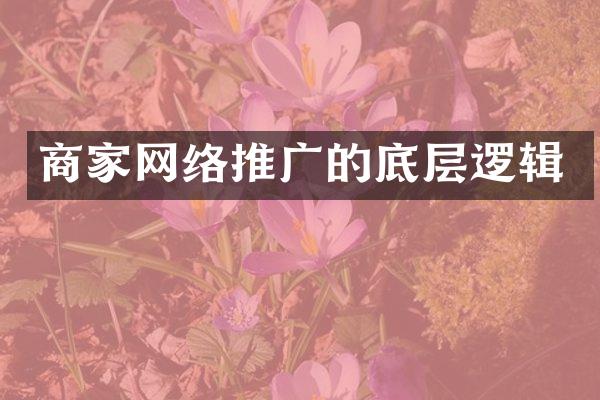 商家网络推广的底层逻辑