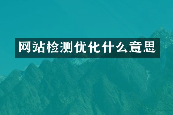 网站检测优化什么意思