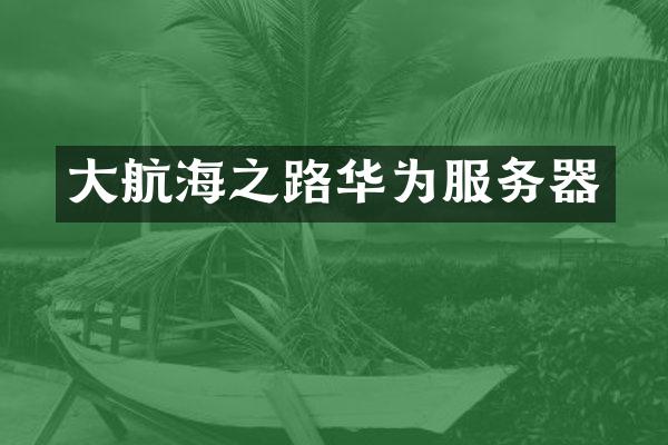 大航海之路华为服务器