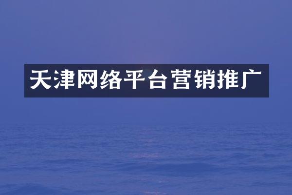 天津网络平台营销推广