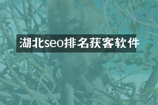 湖北seo排名获客软件