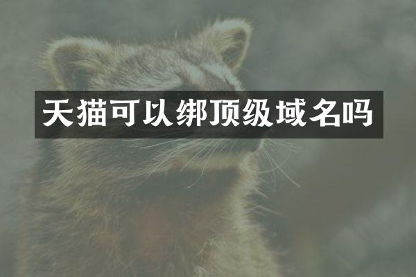 天猫可以绑顶级域名吗