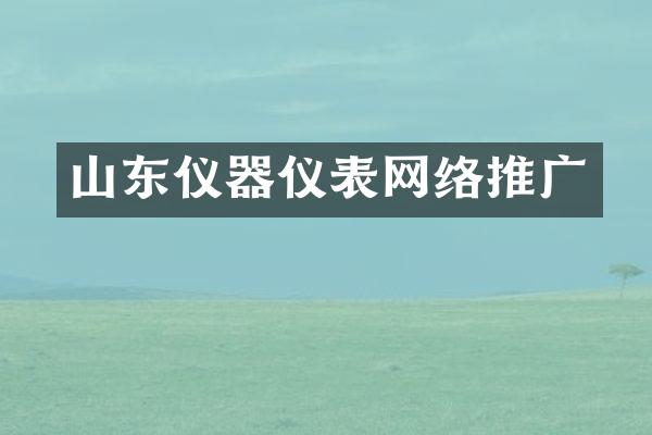 山东仪器仪表网络推广